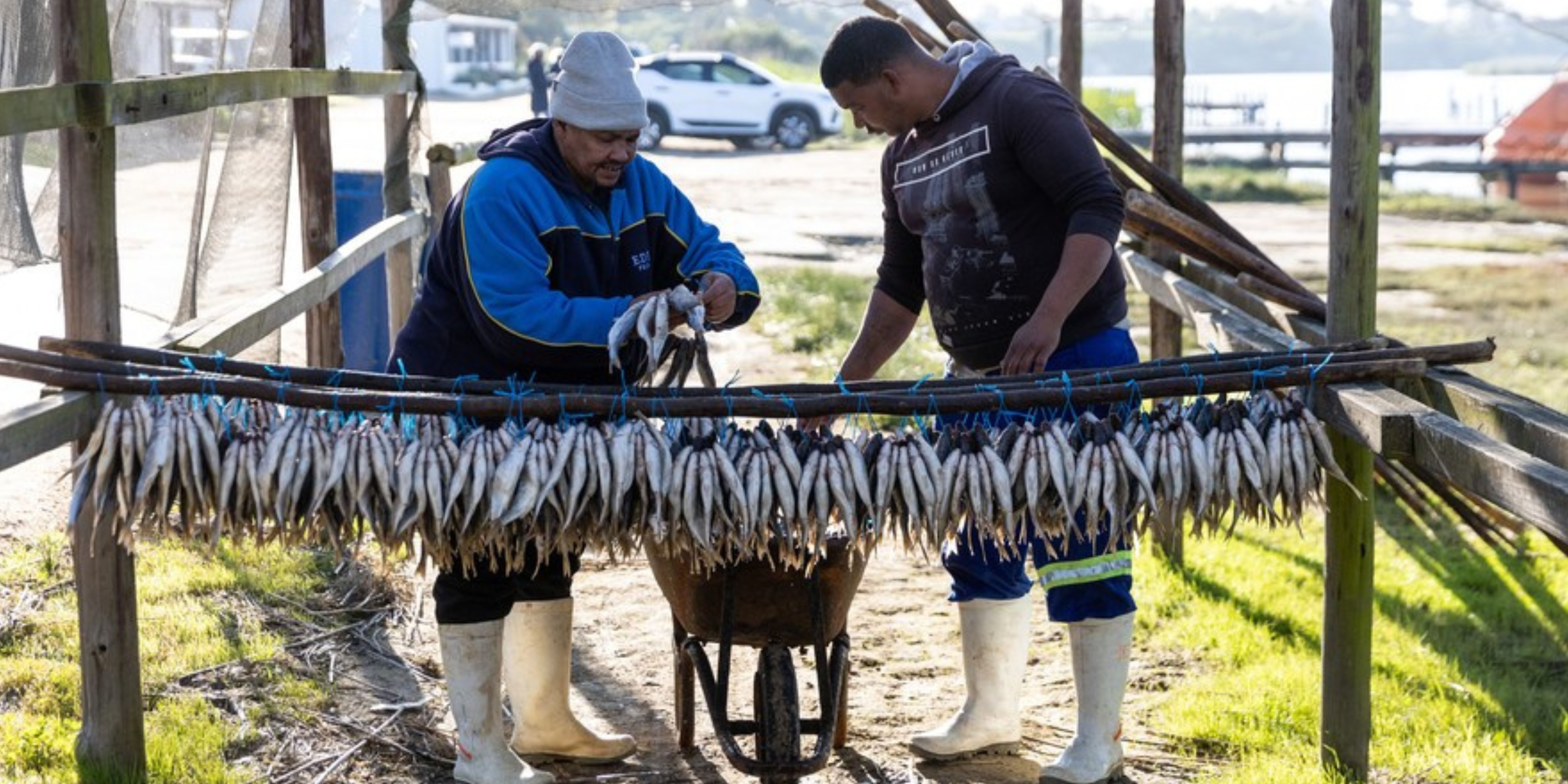 Veldriff: One of the West Coast’s most in demand fishing export harbors